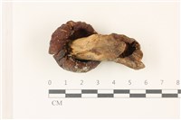 登錄號:F0037397藏品圖，第3張
