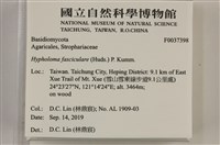 登錄號:F0037398藏品圖，第2張
