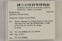 登錄號:F0037399藏品圖，第2張