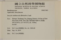 登錄號:F0037403藏品圖，第2張