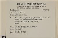 登錄號:F0037408藏品圖，第2張
