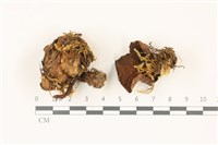 登錄號:F0037409藏品圖，第1張
