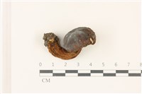 登錄號:F0037410藏品圖，第1張