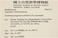 登錄號:F0037411藏品圖，第2張