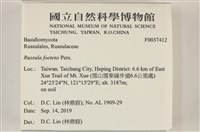 登錄號:F0037412藏品圖，第2張