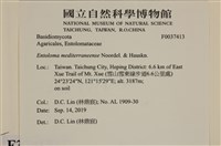 登錄號:F0037413藏品圖，第2張