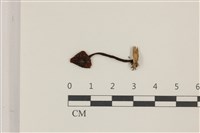 登錄號:F0037413藏品圖，第1張