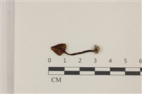 登錄號:F0037413藏品圖，第3張