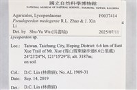 登錄號:F0037414藏品圖，第2張