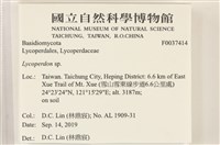登錄號:F0037414藏品圖，第2張