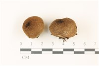 登錄號:F0037414藏品圖，第1張