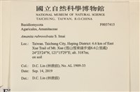 登錄號:F0037415藏品圖，第2張
