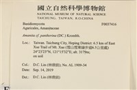 登錄號:F0037416藏品圖，第2張