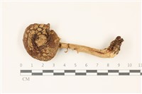 登錄號:F0037416藏品圖，第1張