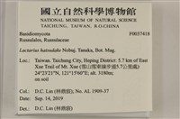 登錄號:F0037418藏品圖，第2張