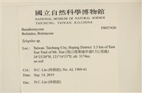 登錄號:F0037420藏品圖，第2張