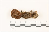 登錄號:F0037420藏品圖，第1張