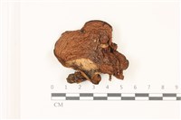 登錄號:F0037421藏品圖，第1張