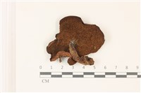 登錄號:F0037421藏品圖，第3張