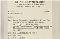 登錄號:F0037423藏品圖，第2張