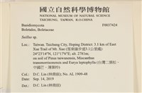 登錄號:F0037424藏品圖，第2張