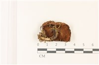 登錄號:F0037424藏品圖，第3張