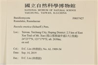 登錄號:F0037427藏品圖，第2張