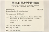 登錄號:F0037428藏品圖，第2張