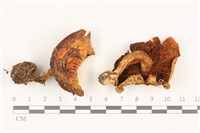 登錄號:F0037430藏品圖，第1張
