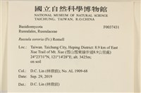 登錄號:F0037431藏品圖，第2張