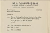 登錄號:F0037432藏品圖，第2張