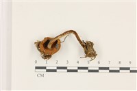 登錄號:F0037434藏品圖，第3張
