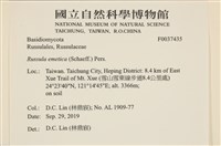 登錄號:F0037435藏品圖，第2張