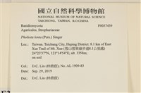 登錄號:F0037439藏品圖，第2張