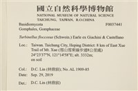 登錄號:F0037441藏品圖，第2張