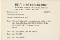登錄號:F0037444藏品圖，第2張