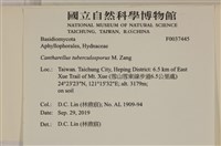 登錄號:F0037445藏品圖，第2張