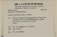 登錄號:F0037446藏品圖，第2張