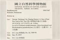 登錄號:F0037447藏品圖，第2張