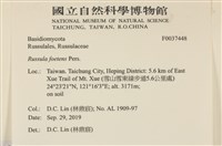 登錄號:F0037448藏品圖，第2張