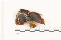 登錄號:F0037448藏品圖，第1張