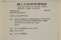 登錄號:F0037451藏品圖，第2張