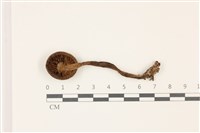 登錄號:F0037451藏品圖，第3張