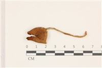 登錄號:F0037453藏品圖，第1張