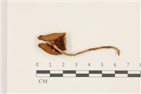 登錄號:F0037453藏品圖，第3張