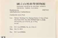 登錄號:F0037455藏品圖，第2張