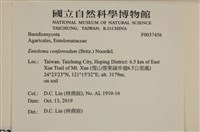 館號:F0037456藏品圖，第1張