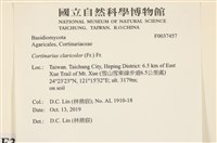 登錄號:F0037457藏品圖，第2張