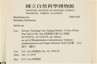登錄號:F0037458藏品圖，第2張