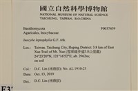 登錄號:F0037459藏品圖，第2張